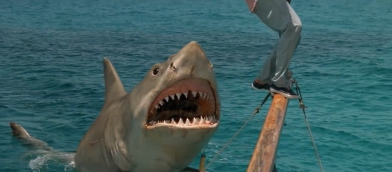 Jaws: The Revenge