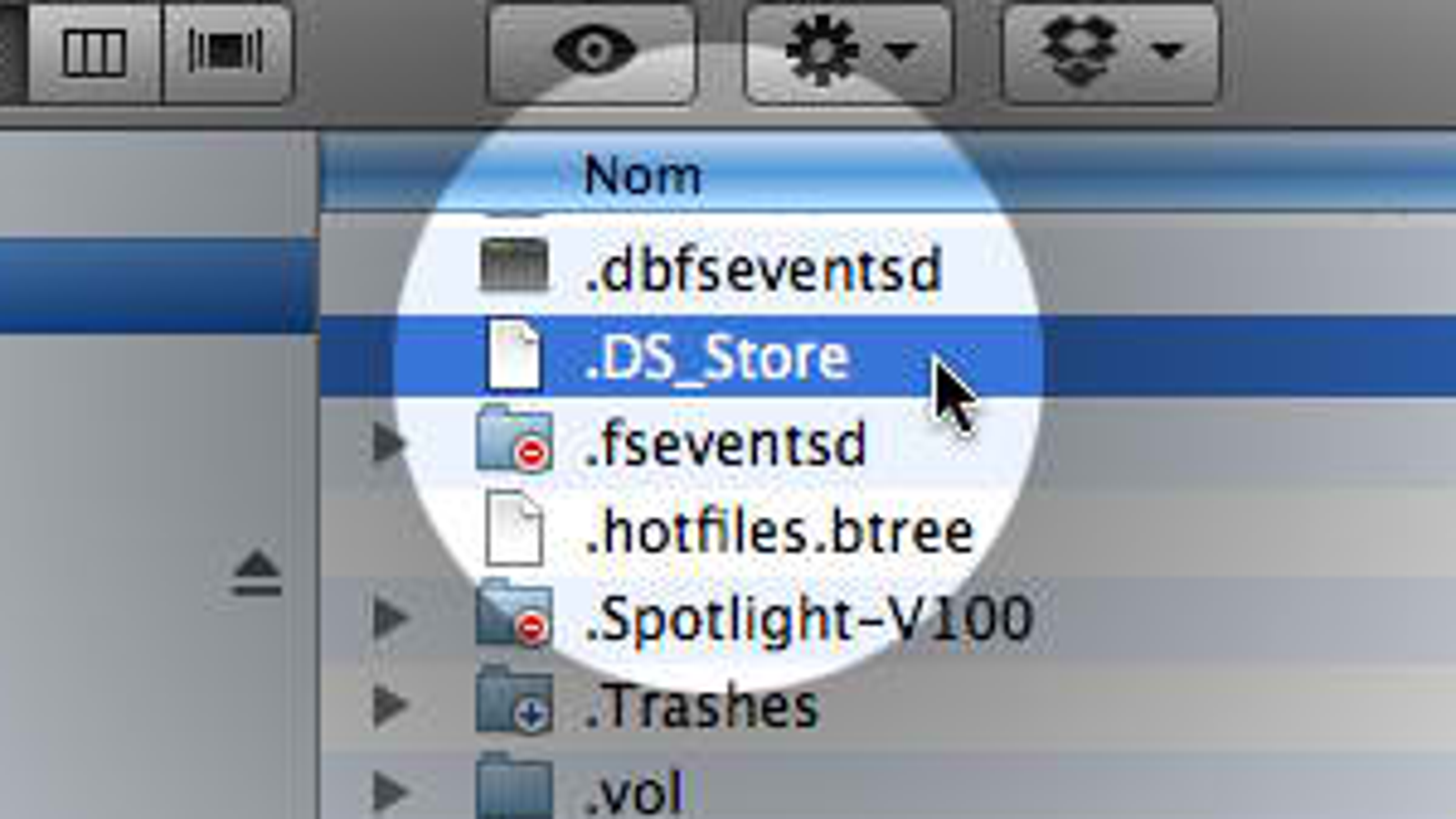 ds video for mac