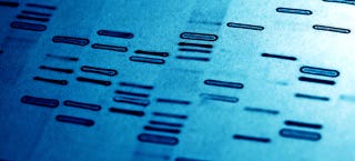 Illustration for article titled How a New DNA Test Can Distinguish Between Identical TwinsÂ