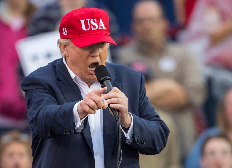 President-elect Donald Trump on his “Thank You Tour” (Photo by Mark Wallheiser/Getty Images)