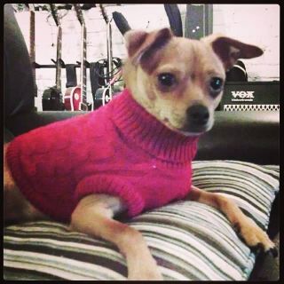 Illustration for article titled 