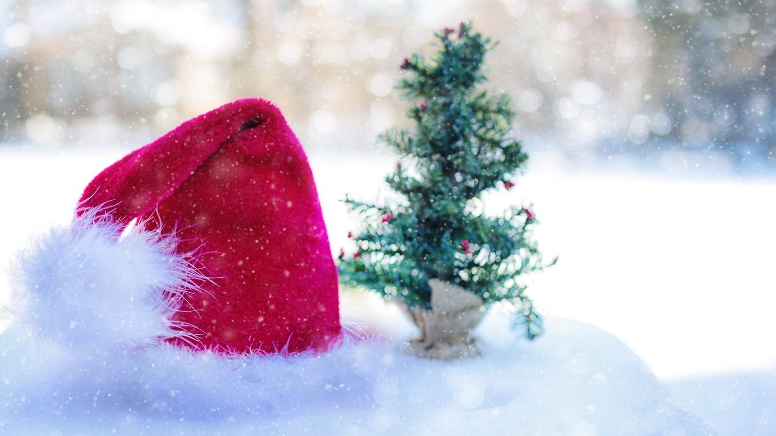 QnA VBage How to Track Santa's Real-Time Location on Christmas Eve