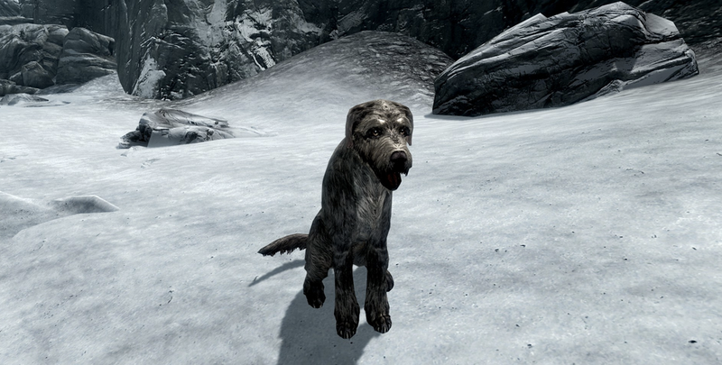 Skyrim Playerは 仮想犬を飼うためだけに地獄を通ったと言っている