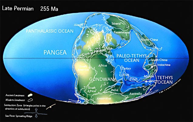 Map Of The World Millions Of Years Ago Basically there was an entire ecosystem of plants and animals on sea and land that you would hardly recognize as earthly - it was as if our planet wasn't ...