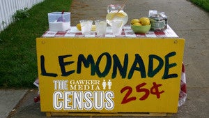 Illustration for article titled Hoons and…Entrepreneurs? Take the 2011 Gawker Media Census and Win an iPad 2