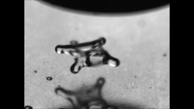 photo of Watch This Levitating Droplet Make Different Shapes, Then Freak Right the Hell Out image