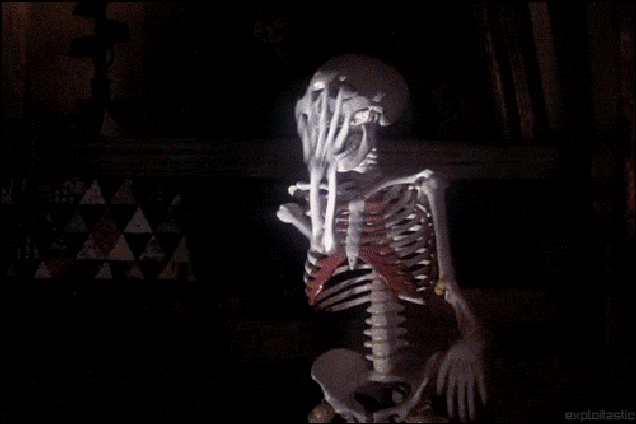 wih8hkxg8iefcciz6cor.gif