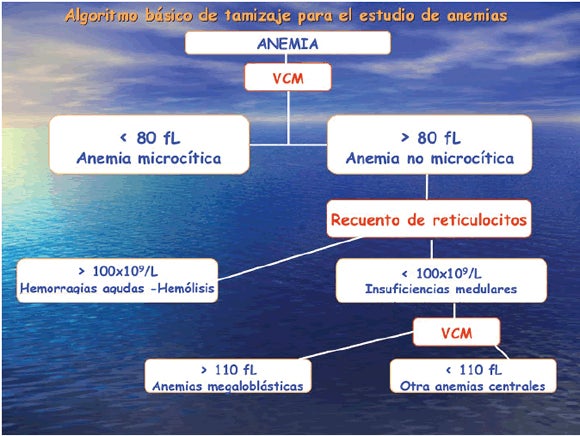 Trastornos Hematologicos En El Embarazo Pdf Free