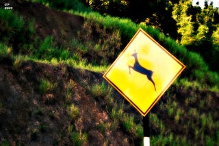 Illustration for article titled Five-Point Frenzy: When Deer Meets Car