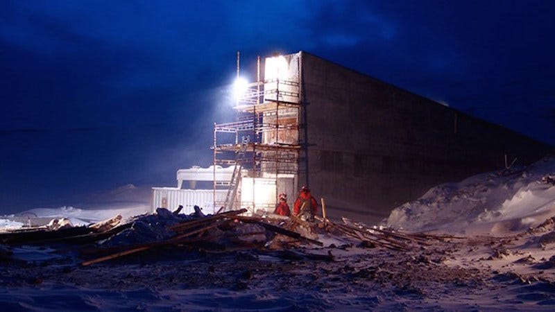 Illustration for article titled The First Ever Samples From the Global Seed Vault Have Been Retrieved