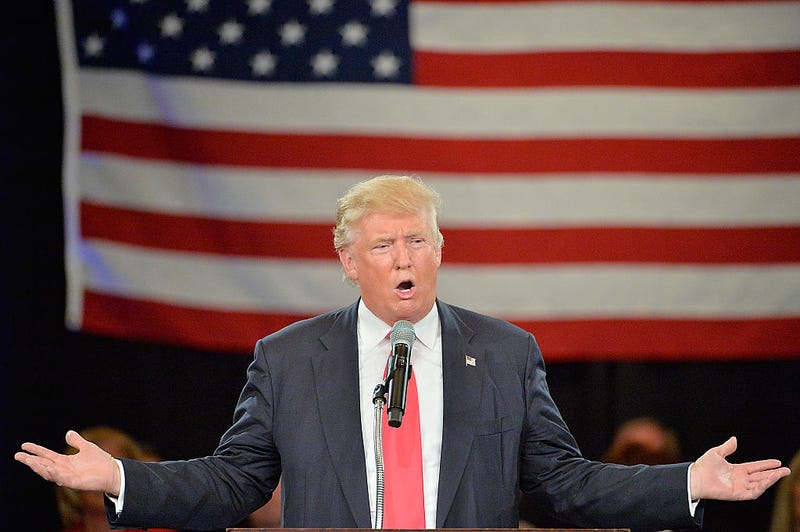 Petty reasons not to vote for donald trump