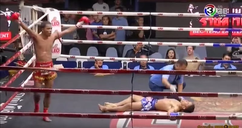 Illustration for article titled Muay Thai Fighter Lands The Face-Kick Knockout Of A Lifetime