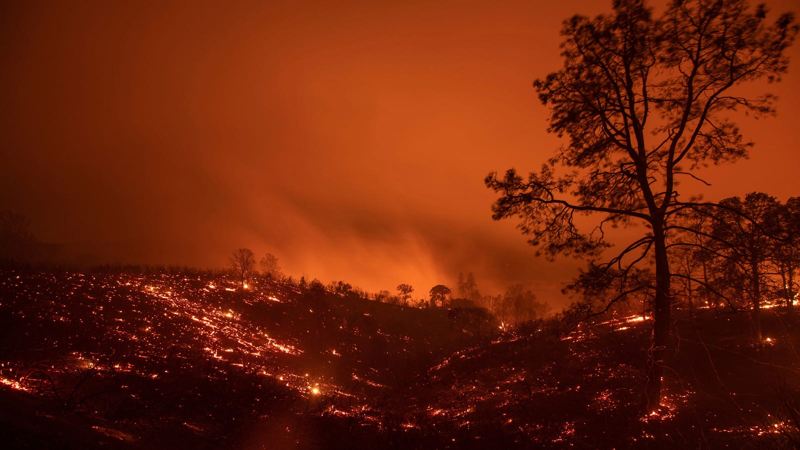 California's Largest Utility to Shut Off Power to 800,000 Customers Due to Wildfire Risk