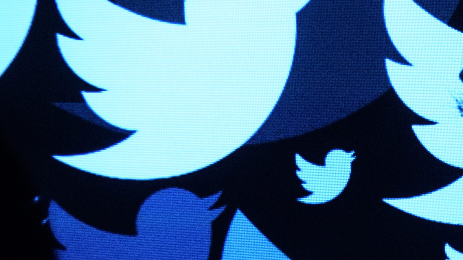 photo of Twitter's New Ban on 'Dehumanizing Speech' May Finally Shut Up Some Nazis image