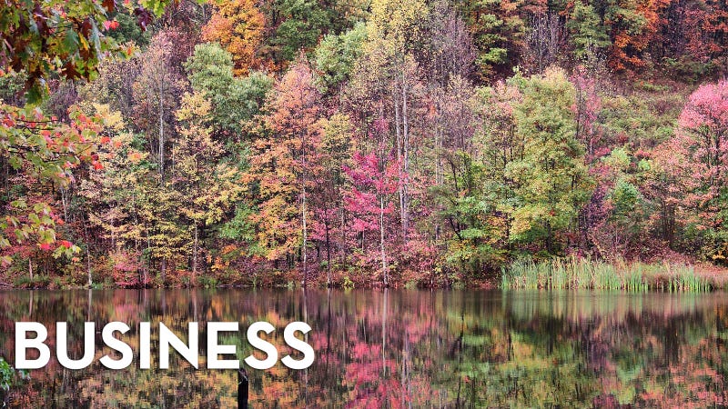 Illustration for article titled This Week In The Business: The Changing Season