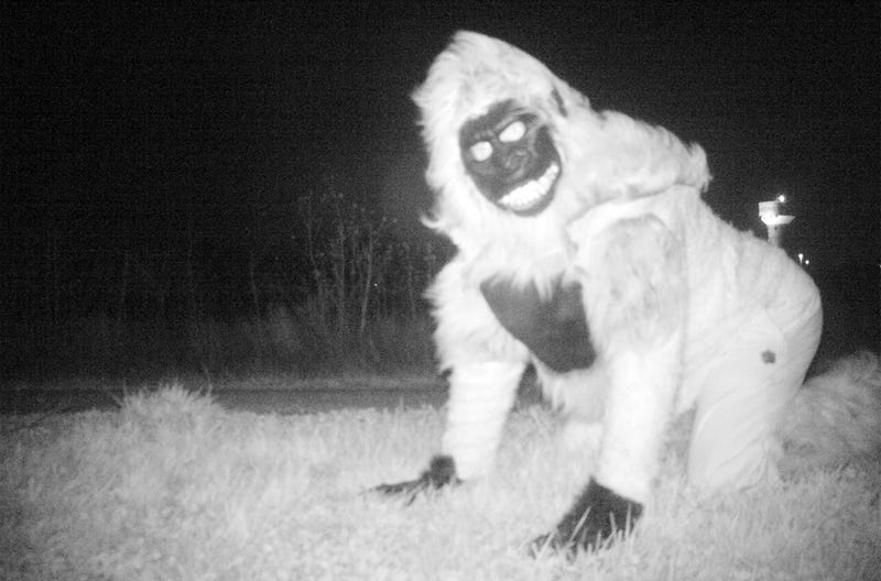 Illustration for article titled Instalan una cámara trampa para cazar un puma y fotografían dos gorilas, al bigfoot y a Santa Claus