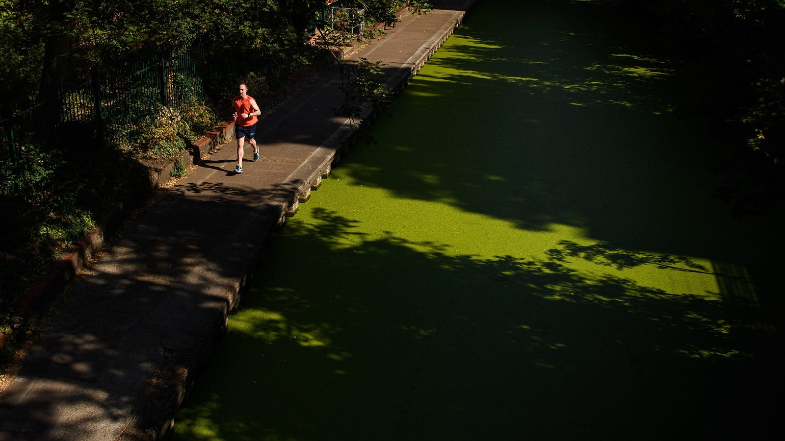 Exercise Might Help Protect the Aging Brain From Alzheimer's, Study Suggests