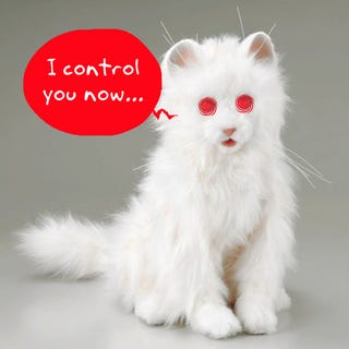 robotic cats and dogs
