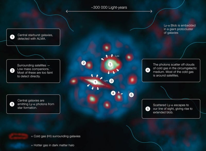 Infographic explaining what happens when a Lyman-alpha blob shines. Image: ESO/J. Geach
