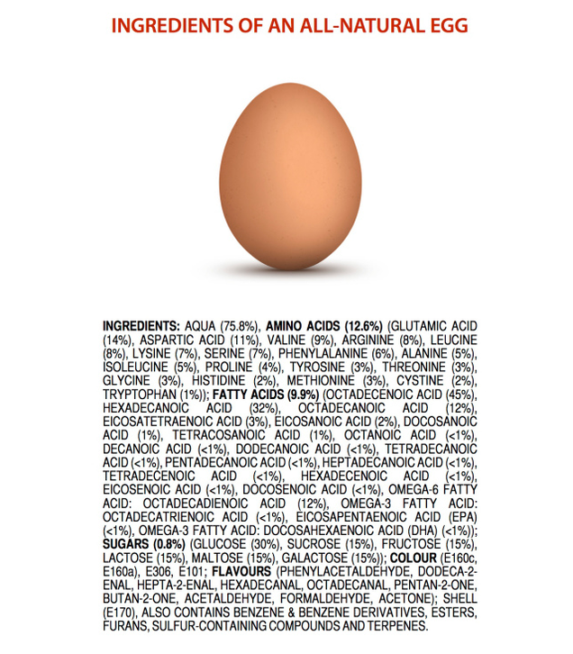 Ingredients in an egg
