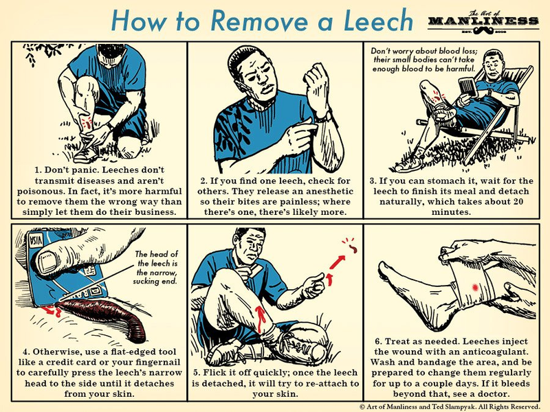 Learn To Remove A Leech With This Handy Chart