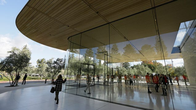 Here Are 911 Transcripts of Some of the Times Apple Employees Walked Directly Into Glass Walls