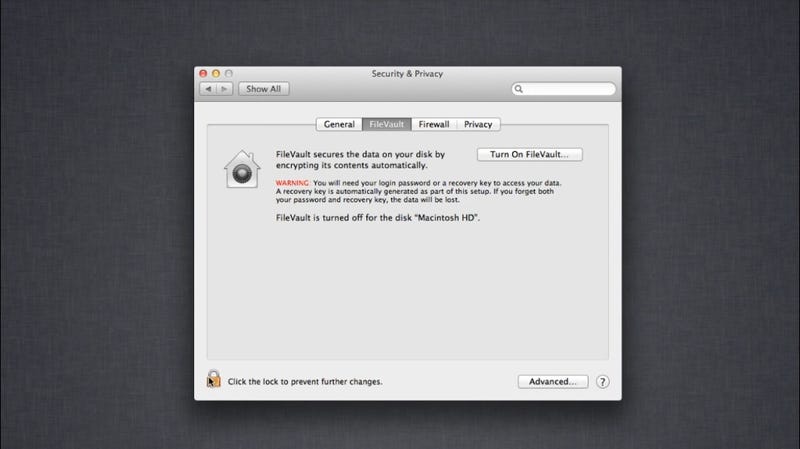 Crack Disk Password Protection 4.9.4.0