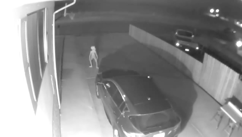 Illustration for article titled People are confusing this security footage of an alien for Dobby the house elf