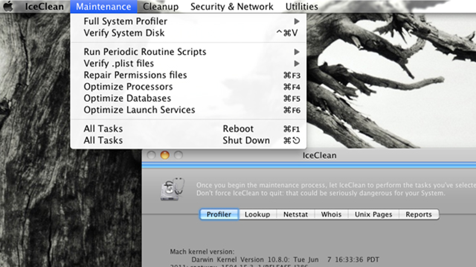 caution using iceclean mac 10.9