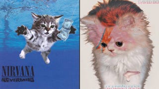 Illustration for article titled Iconic Album Covers Reimagined With Kittens