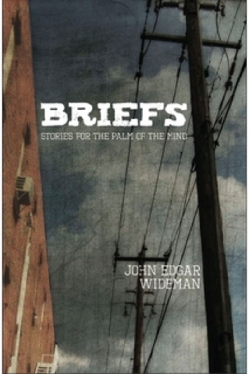 Illustration for article titled The Root's Top 10 Books of 2010