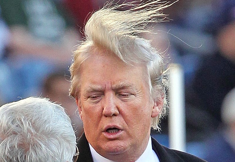 Image result for donald trump bald