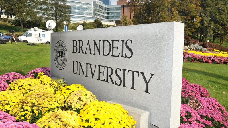 Illustration for article titled Brandeis Suspends Athletic Director Who Failed To Act When A Coach Told A Player He'd Ship Him Back To Africa
