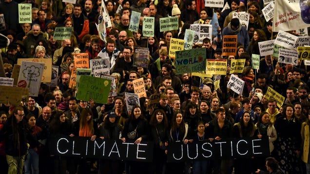 In 2020, Here's How You Can Help Address the Climate Crisis