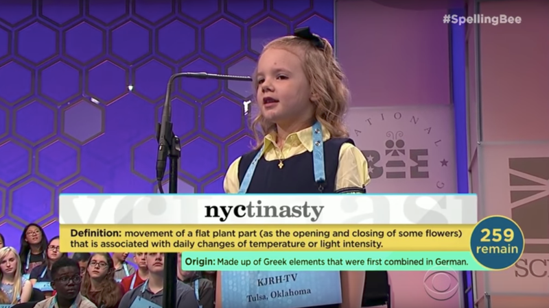 Student tries again to W-I-N national spelling bee Student tries again to W-I-N national spelling bee