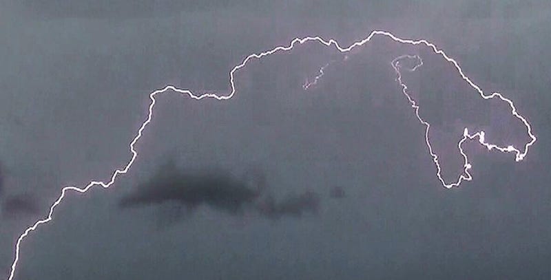 Illustration for article titled T. Rex Lightning Is a Good Reason to Never Leave Your House Again
