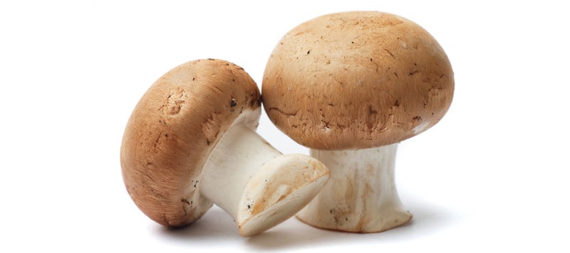   Mushroom -  4