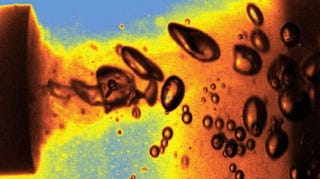 Illustration for article titled Ultrasound makes sonoluminescent bubbles