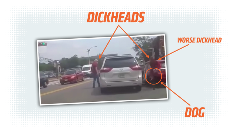 Illustration for article titled Horrible Road Rage Incident Ends With Dog Being Flung From Car