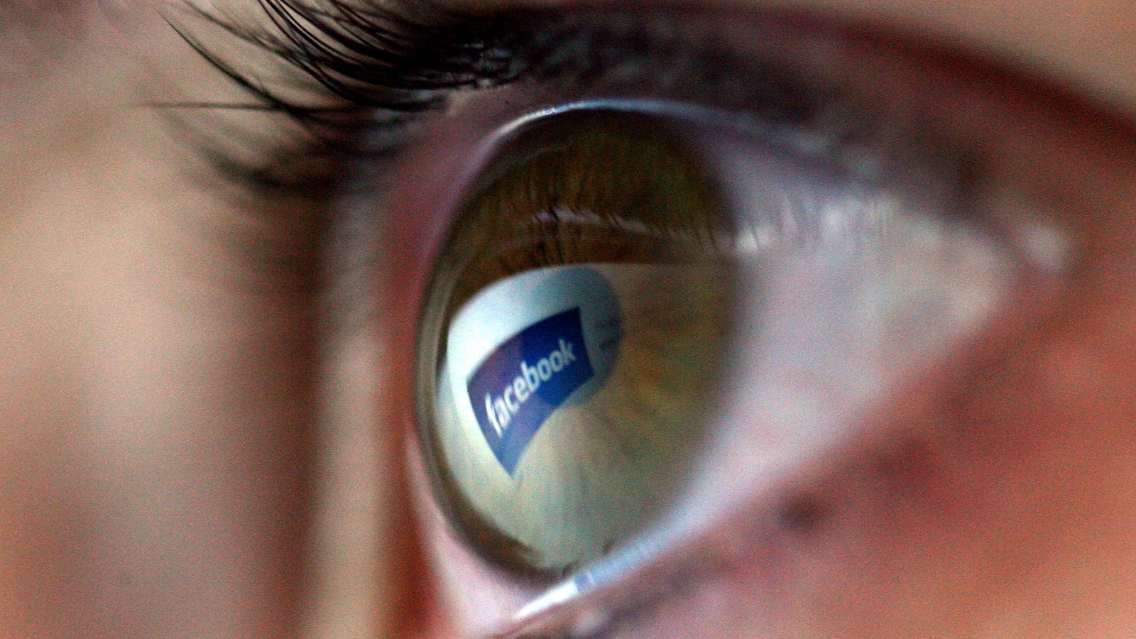 photo of 100 Million People Are Connected to Facebook's Walled-Garden Internet image