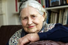 Illustration for article titled Lessing Is More