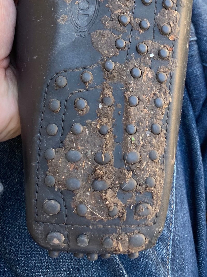 Illustration for article titled Life tip: don’t walk in mud in expensive Italian driving shoes. Especially brand new ones.