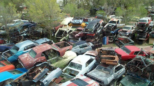 Is This The World's Largest Vintage Mustang Junkyard?