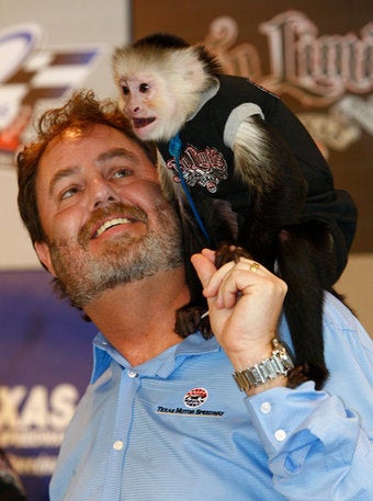 Illustration for article titled Monkeys Will Sell Programs, Hear Complaints About Jobs At Today's NASCAR Race