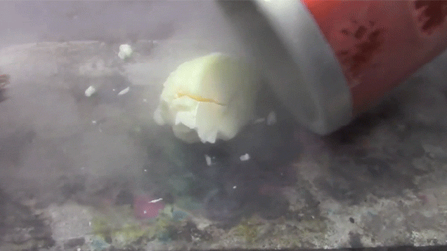 What happens when you crack an egg into liquid nitrogen?