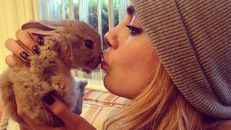 Illustration for article titled Report: Supermodel Cara Delevingne Hires Nanny for Pet Rabbit