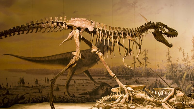 lava dinosaurs