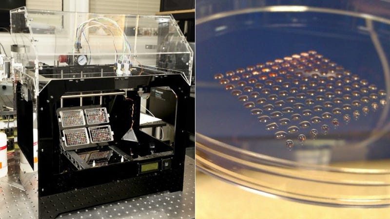 Scientists Have 3D-Printed Embryonic Stem Cells