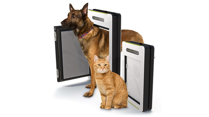 A Rain Detecting Automatic Pet Door That Keeps Them Inside And Dry