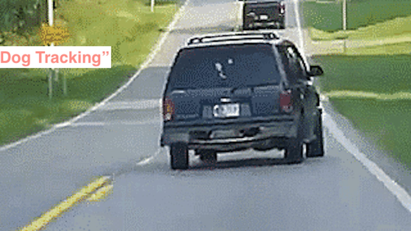 Why Some Cars Look Like They Re Driving Sideways Down The Road